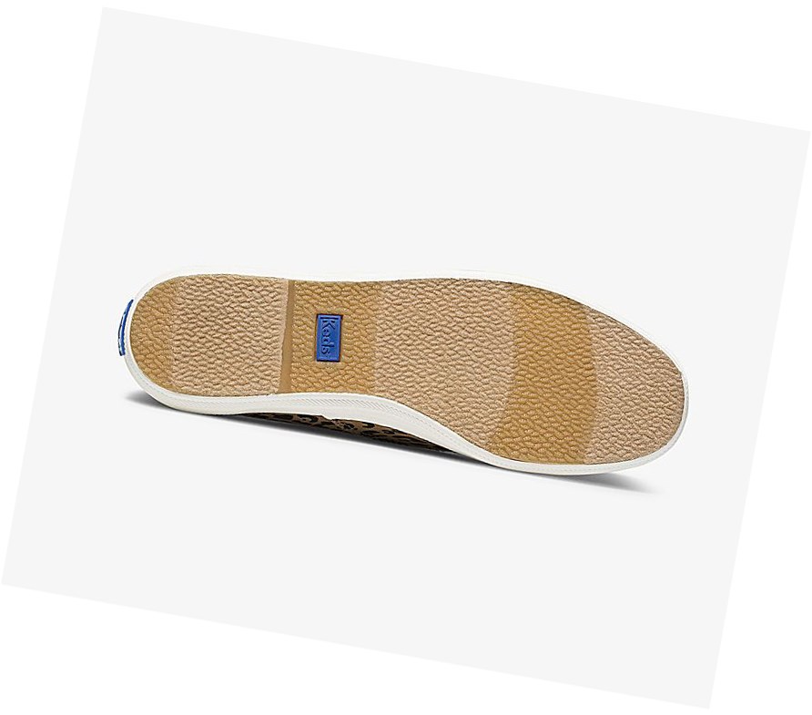 Zapatos con Cordones Keds Washable Champion Animal Mujer Marrones | DWM-025486